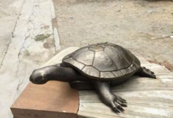 城市烏龜雕塑 風景區彩繪雕塑 抽象擺件